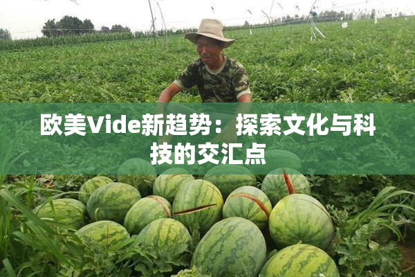 欧美Vide新趋势：探索文化与科技的交汇点