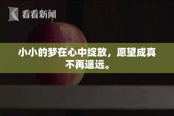 小小的梦在心中绽放，愿望成真不再遥远。
