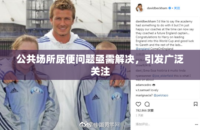 公共场所尿便问题亟需解决，引发广泛关注