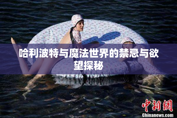 哈利波特与魔法世界的禁忌与欲望探秘