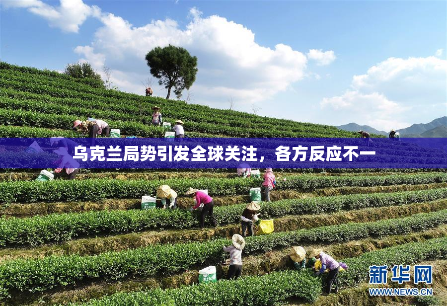 乌克兰局势引发全球关注，各方反应不一