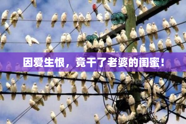 因爱生恨，竟干了老婆的闺蜜！