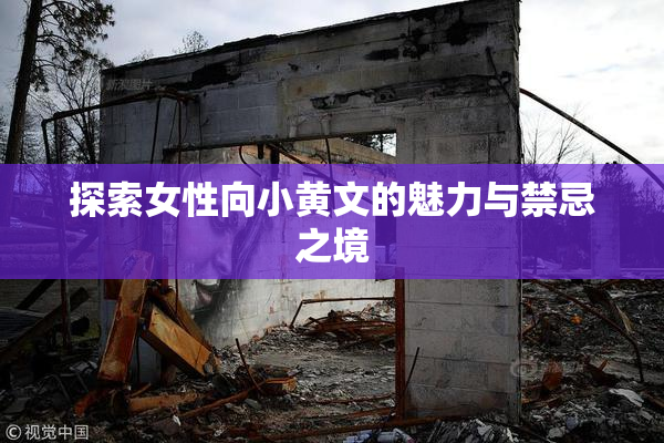 探索女性向小黄文的魅力与禁忌之境