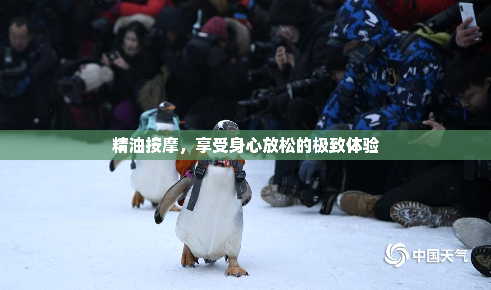 精油按摩，享受身心放松的极致体验