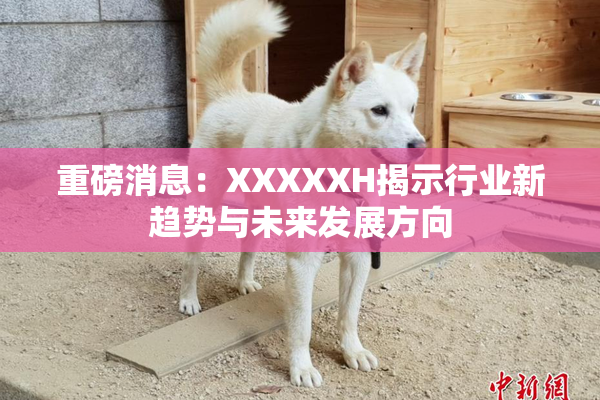 重磅消息：XXXXXH揭示行业新趋势与未来发展方向