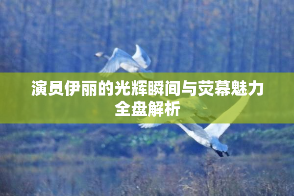 演员伊丽的光辉瞬间与荧幕魅力全盘解析