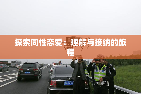 探索同性恋爱：理解与接纳的旅程