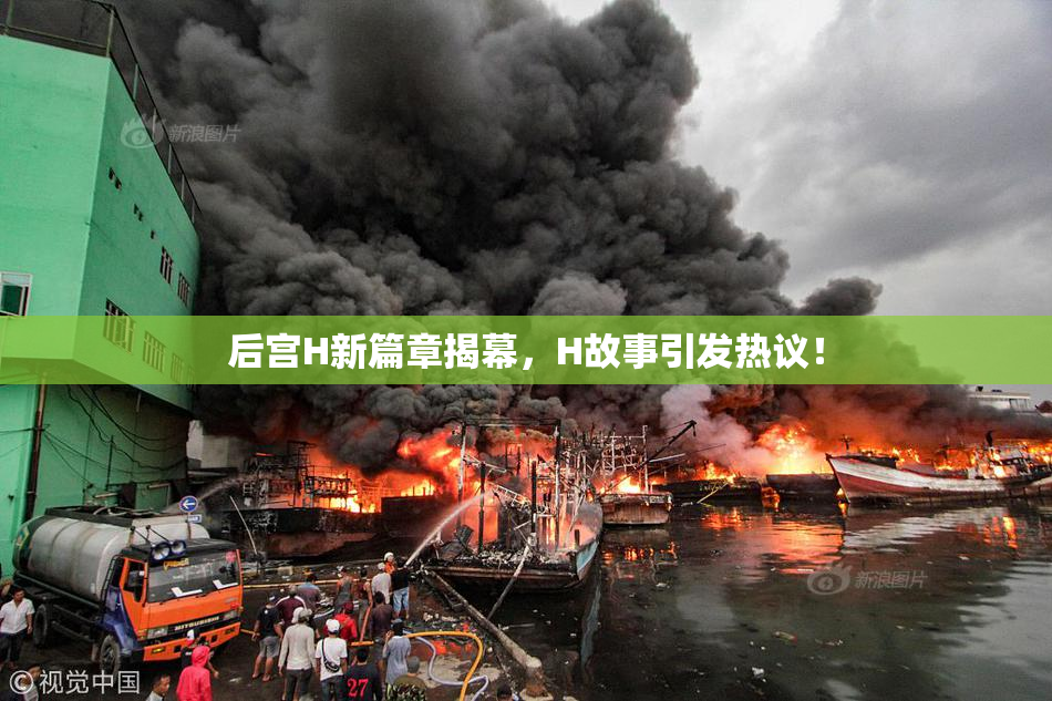 后宫H新篇章揭幕，H故事引发热议！