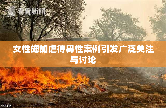 女性施加虐待男性案例引发广泛关注与讨论