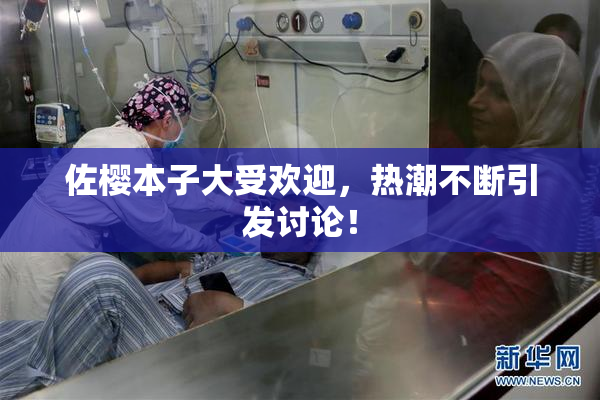 佐樱本子大受欢迎，热潮不断引发讨论！