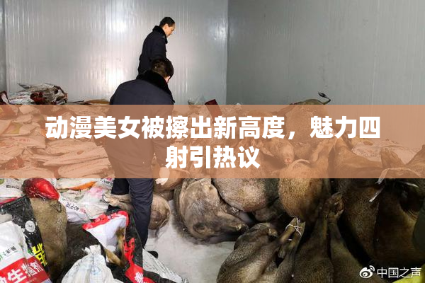 动漫美女被擦出新高度，魅力四射引热议