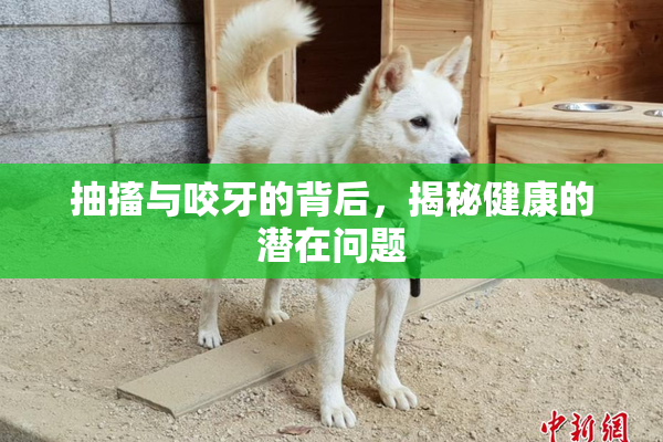 抽搐与咬牙的背后，揭秘健康的潜在问题