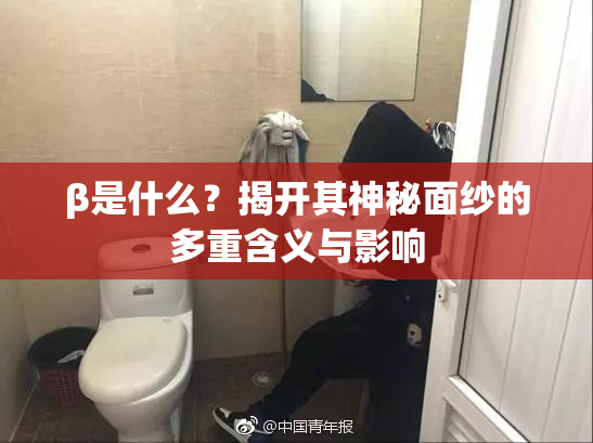 β是什么？揭开其神秘面纱的多重含义与影响