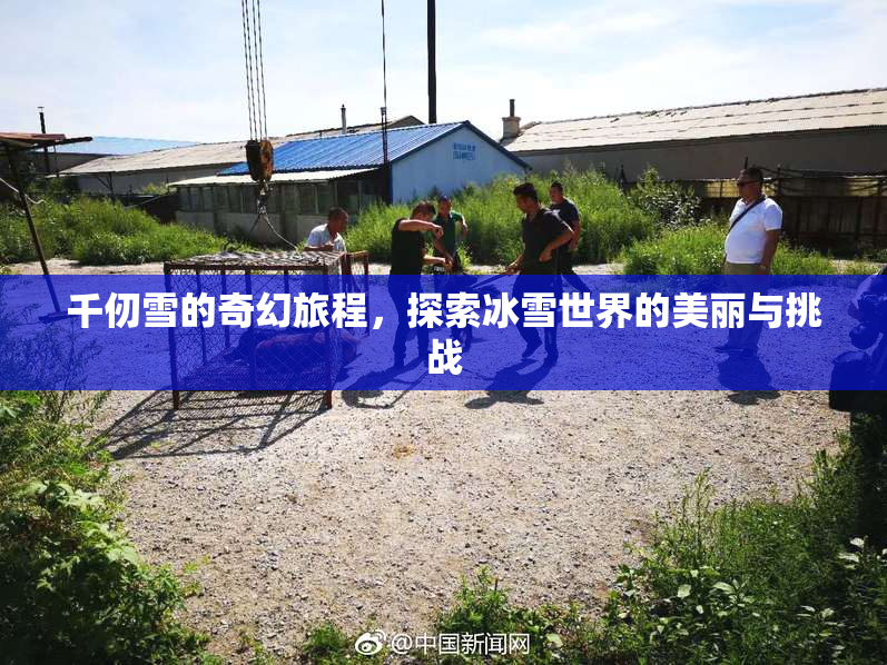 千仞雪的奇幻旅程，探索冰雪世界的美丽与挑战