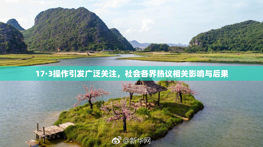 17·3操作引发广泛关注，社会各界热议相关影响与后果