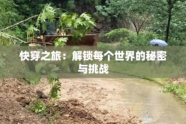 快穿之旅：解锁每个世界的秘密与挑战