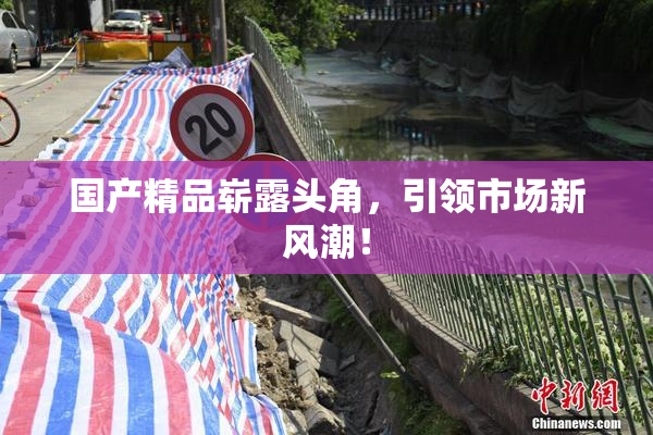 国产精品崭露头角，引领市场新风潮！