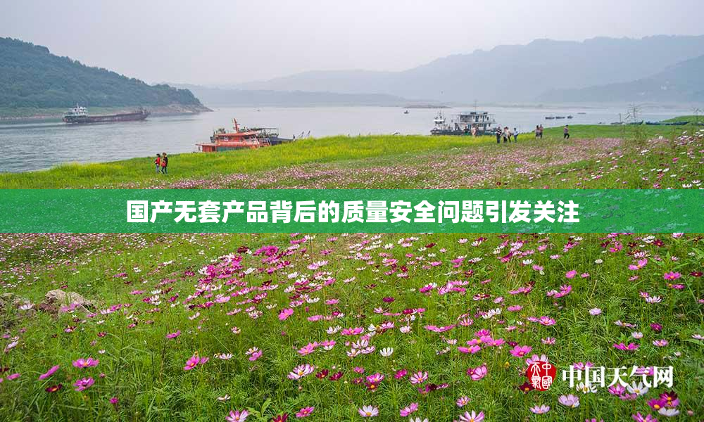 国产无套产品背后的质量安全问题引发关注
