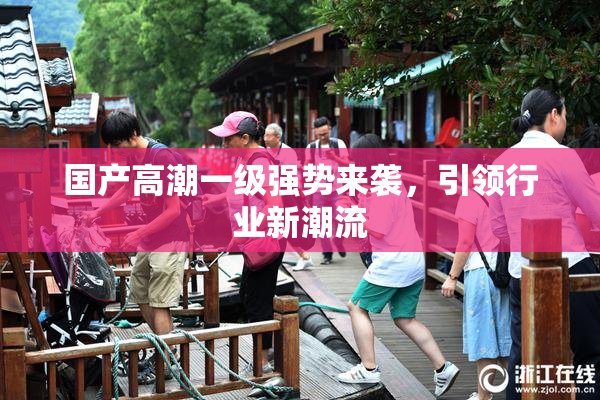 国产高潮一级强势来袭，引领行业新潮流