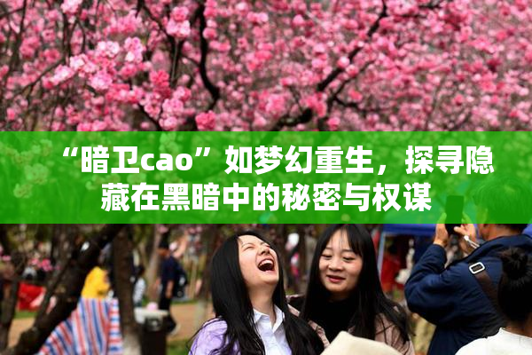 “暗卫cao”如梦幻重生，探寻隐藏在黑暗中的秘密与权谋