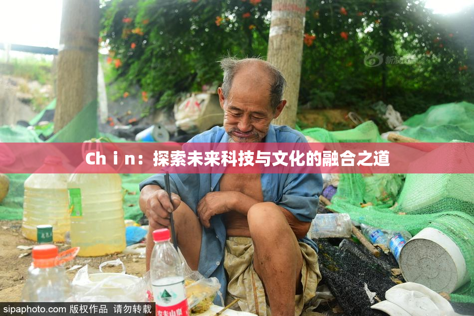 Chⅰn：探索未来科技与文化的融合之道