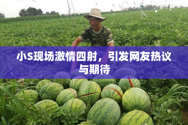 小S现场激情四射，引发网友热议与期待
