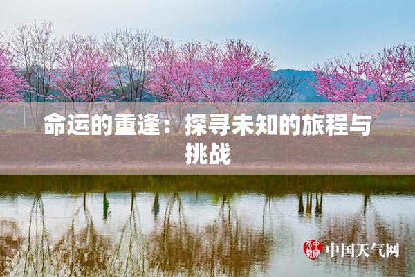 命运的重逢：探寻未知的旅程与挑战