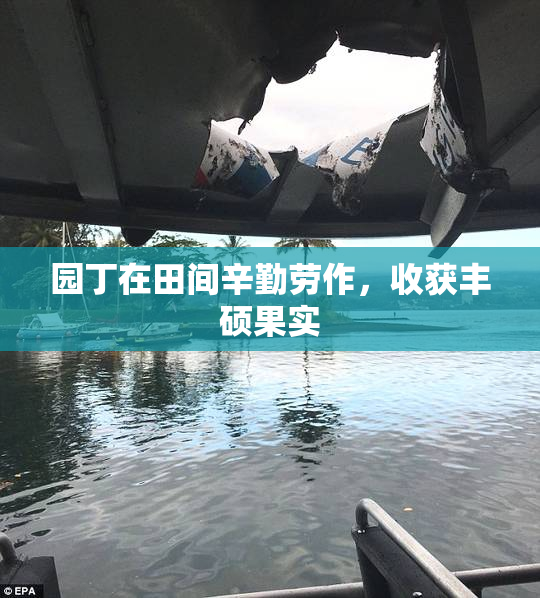 园丁在田间辛勤劳作，收获丰硕果实