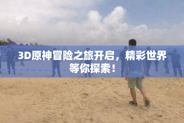 3D原神冒险之旅开启，精彩世界等你探索！