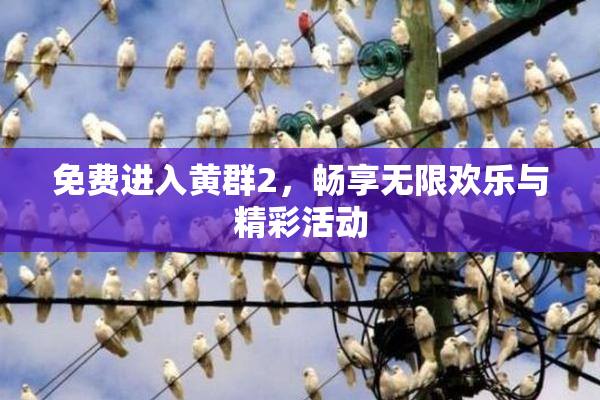 免费进入黄群2，畅享无限欢乐与精彩活动