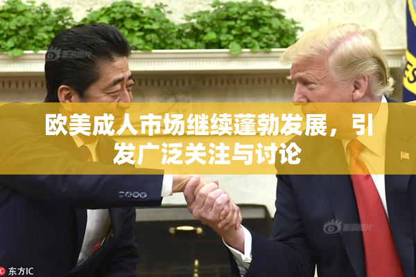 欧美成人市场继续蓬勃发展，引发广泛关注与讨论