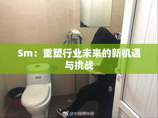 Sm：重塑行业未来的新机遇与挑战