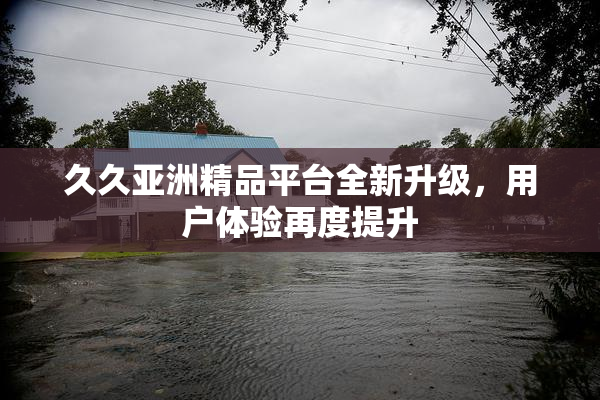 久久亚洲精品平台全新升级，用户体验再度提升