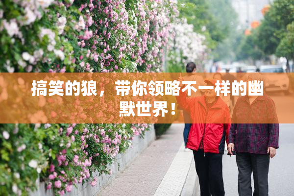 搞笑的狼，带你领略不一样的幽默世界！