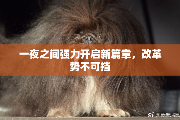 一夜之间强力开启新篇章，改革势不可挡