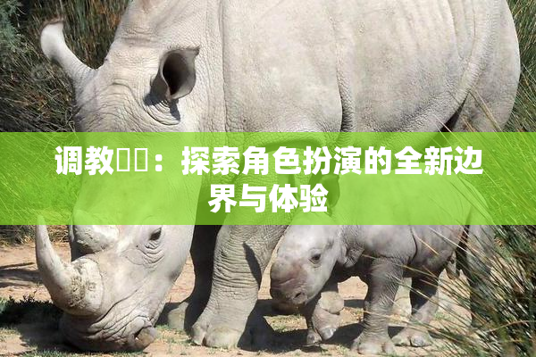 调教妺妺：探索角色扮演的全新边界与体验