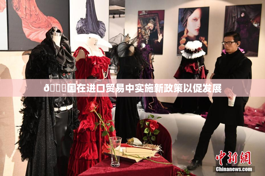 🔞国在进口贸易中实施新政策以促发展