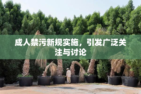 成人禁污新规实施，引发广泛关注与讨论