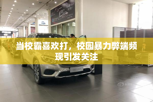 当校霸喜欢打，校园暴力弊端频现引发关注