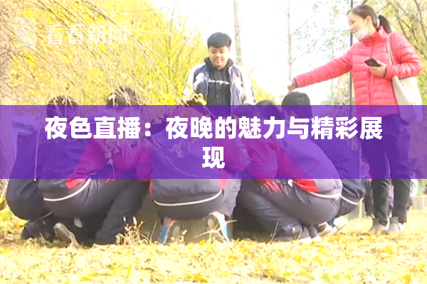 夜色直播：夜晚的魅力与精彩展现