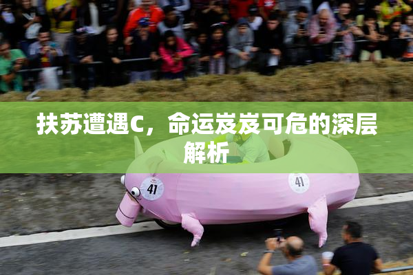 扶苏遭遇C，命运岌岌可危的深层解析