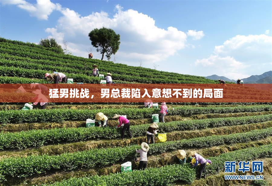 猛男挑战，男总裁陷入意想不到的局面