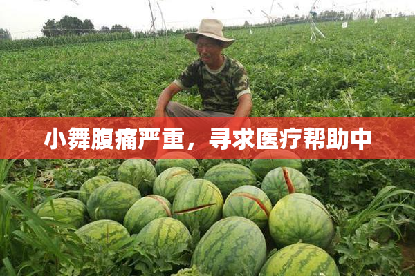 小舞腹痛严重，寻求医疗帮助中