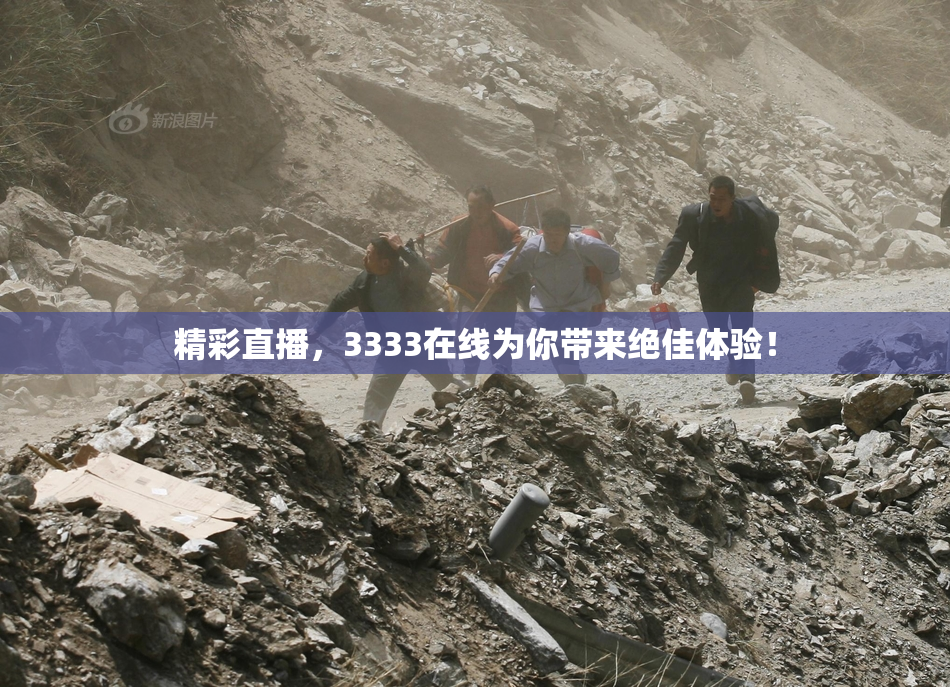 精彩直播，3333在线为你带来绝佳体验！