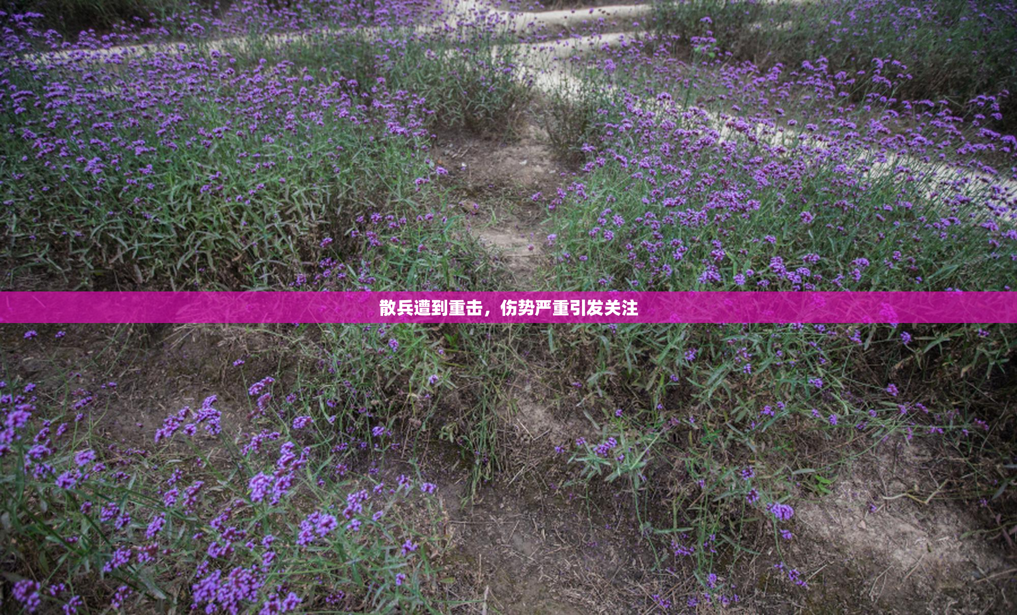 散兵遭到重击，伤势严重引发关注