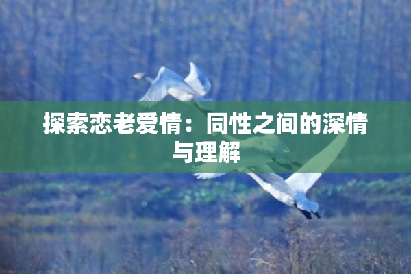 探索恋老爱情：同性之间的深情与理解