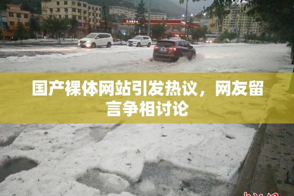 国产裸体网站引发热议，网友留言争相讨论