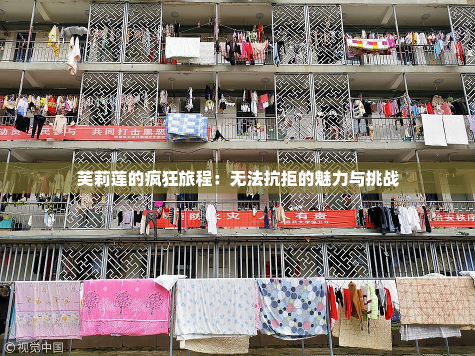 芙莉莲的疯狂旅程：无法抗拒的魅力与挑战
