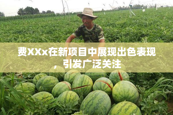 费XXx在新项目中展现出色表现，引发广泛关注