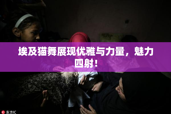 埃及猫舞展现优雅与力量，魅力四射！